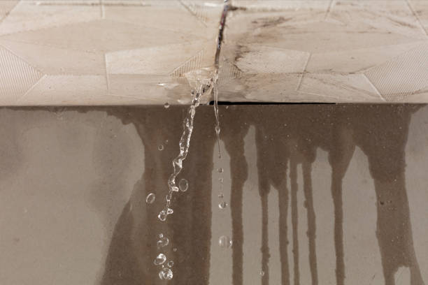 Professional Water Damage Repair technician working in Smithton, MO